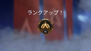 【Apex Legends】初心者のソロランク　ゴールドⅣ～