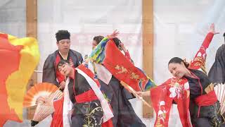 東山道 三蔵 茨城県大子町 常陸国YOSAKOI祭り 2024.5.19