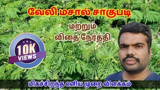 வேலி மசால் சாகுபடி ம‌ற்று‌ம் விதை நேர்த்தி || Hedge lucerne || Velimasal in tamil