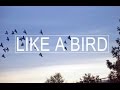 River Rhyme : Like A Bird [Official Music Video]