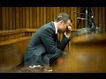 Oscar Pistorius murder trial: The key witness evidence