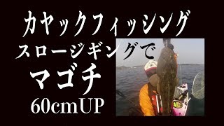 カヤックフィッシング・スロージギングでマゴチ60cmオーバー