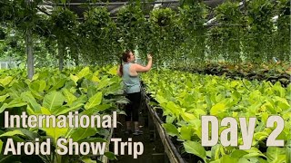 International Aroid Show Trip Day 2 -visiting Silver Krome Gardens