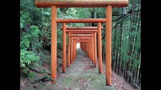 (川上村・高原)・笠松・愛宕神社（上村）奈良の爺々