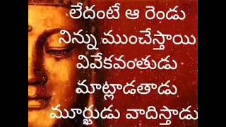 🌹 మీరు మార్చలేని గతం గురించి ఆలోచించకండి మీ చేతిలో ఉన్న భవిష్యత్తు గురించి మాత్రమే ఆలోచించండి 🌹 అమ్మ