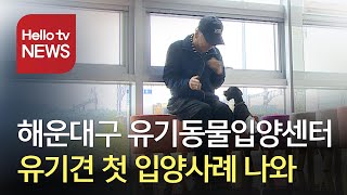 유기동물, 새 가족을 만나다