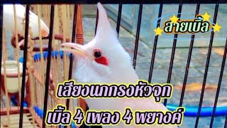 เสียงนกกรงหัวจุกเบิ้ล 4 เพลง 4 พยางค์ep.172