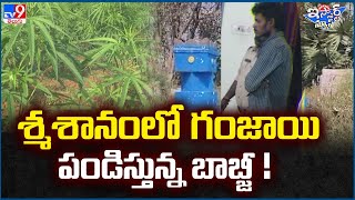 iSmart News : శ్మశానంలో గం*జాయి పండిస్తున్న బాబ్జీ  ! - TV9