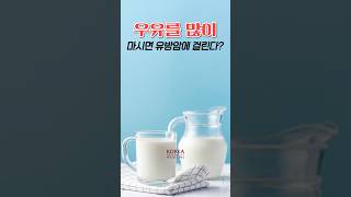 🥛우유 마시면 유방암 위험이 높아지나요? [암팩트🍄]