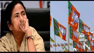 Calcutta HC allows BJP to hold 'Rath Yatra' in Bengal