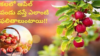 వివిధ సందర్భాలలో కలలో 🍎 ఆపిల్ పండు వస్తే?||kalalo apple kanipiste||apple's in dream||#dream