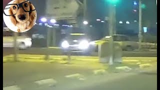 Traffic Light Dangerous U-Turn