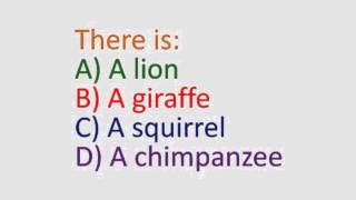 Personality Test - Know Your Personality In 1 Minute
