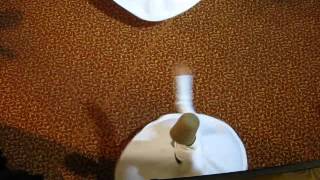 Whirling Dervished, Video 2