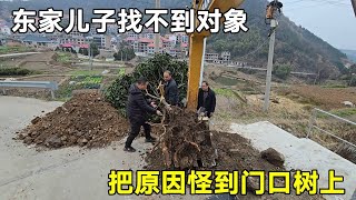 家里网络出故障，问题到是简单，难就难在排查【海南弱电小胡】