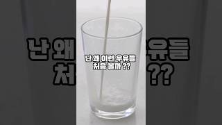 특이한 맛의 우유 15가지!!