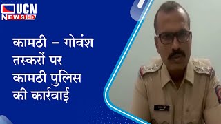 कामठी - गोवंश तस्करों पर कामठी पुलिस की कार्रवाई