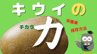 【キウイの力】キウイの栄養素や保存方法などを分かりやすく紹介