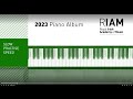 Preliminary: Ghosts (Slow Version) RIAM Piano Album 2023