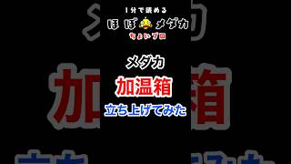 【メダカ】加温箱を立ち上げてみた  #めだか #メダカ #HOBOめだか #ほぼメダカ #加温箱 #加温飼育 #越冬 #ヒーター #立ち上げ #収納ケース