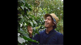 #23-1 アジアのコーヒー生産のイマ with Taishi Yasuda from 海ノ向こうコーヒー【前編】