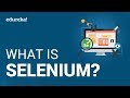 What Is Selenium | Selenium Webdriver Basics | Selenium Tutorial | Selenium Training | Edureka