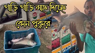 কোন পুকুরে গাড়ি গাড়ি মাছ দিচ্ছে | hook fishing | bangala fishing video| viral  | sundarban fishing