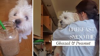 breakfast smoothie with Ghazal \u0026 Peanut اسموتی صبحانه با من و پینات