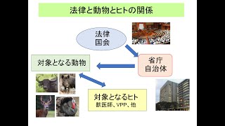 動物医療関連法規2回対面法と動物 edit