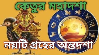 Ketu Mahadasha Effects | আপনার কি কেতুর মহাদশা চলছে? #Daibabani#viral #astrology