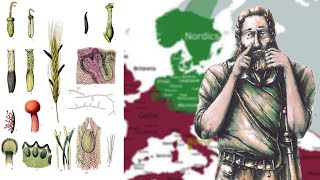 Ancient Germanic used Drugs in War