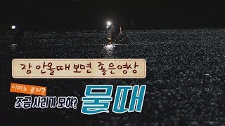 프로 낚시인들의 물때는?!! (The mystery story of tide times)