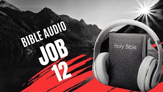 JOB 12 - LA BIBLE AUDIO avec textes