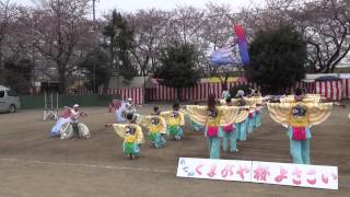 妃龍（Ⅱ）＠2015　くまがや桜よさこい