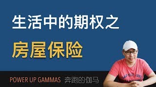 生活中的期权之房屋保险 | Selling Calls, Real Life Option