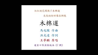 陳鴻儀演奏 - 木棉道｜複音口琴Tremolo Harmonica 演奏版本《C調》