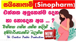 සයිනොෆාම් එන්නත ගැන ඇත්ත දැන ගන්න  | Guidelines for SINOPHARM VACCINE - Latest Update