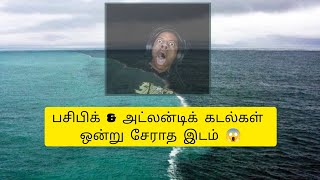 பசிபிக் \u0026 அட்லன்டிக் கடல்கள் ஒன்று சேராத இடம் 😱#pacific #fact #trending #tamilfacts #history