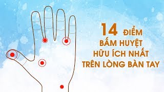 14 điểm bấm huyệt hữu ích nhất trên lòng bàn tay