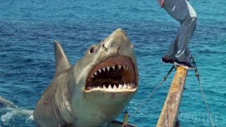 Les meilleures attaques de requin des Dents de la Mer 4 🌀 4K