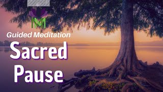 Come into Stillness: Meditation for Peace and Stress Relief | Mindful Movement