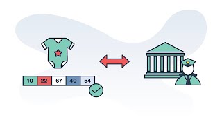 Classifications 101 - Breaking Down HS Codes