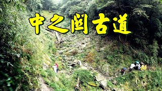 中之關古道 深入南橫公路西段，尋找綠意堆疊的高山天池，紅檜巨木挺拔蒼勁如昔