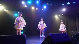 2025.1.4 Zunda_Dolce「仙台アイドル新年会 in MCN!!」