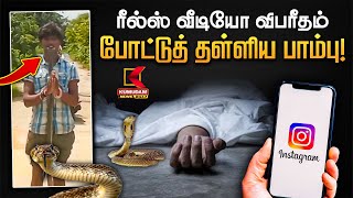 ரீல்ஸ் வீடியோ விபரீதம்.. போட்டுத் தள்ளிய பாம்பு! | Kumudam News 24x7