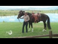 julie goodnight quick tip to keep your horse comfortable while saddled