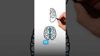 Brain Sync: How Collaborative Learning Ignites Breakthroughs!