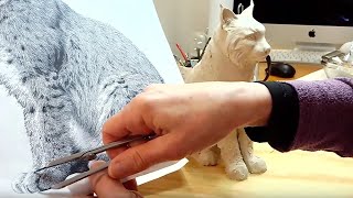 Learn  Sculpture - Creating a Clay Bobcat Sculpture - Day 11