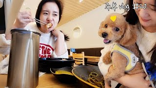 Vlog :) 평범한 주부 일상 브이로그 먹방~ 💜남편이 돌아왔다!!💜