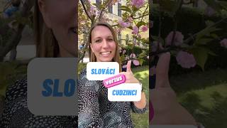 🤔 SLOVÁCI v. CUDZINCI (Learn Slovak) #slovak #slovakforforeigners #словацкийязык #словацкий